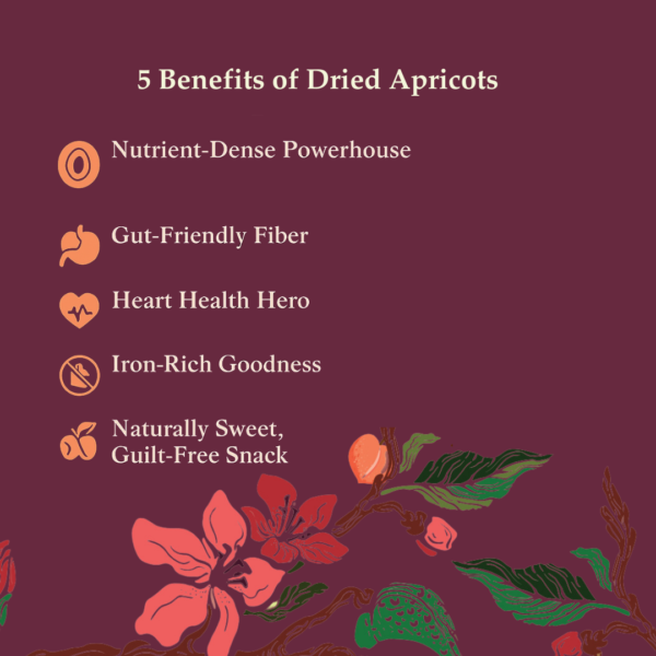 Sumewam Apricots – Nature’s Sweetest Treat - Image 8