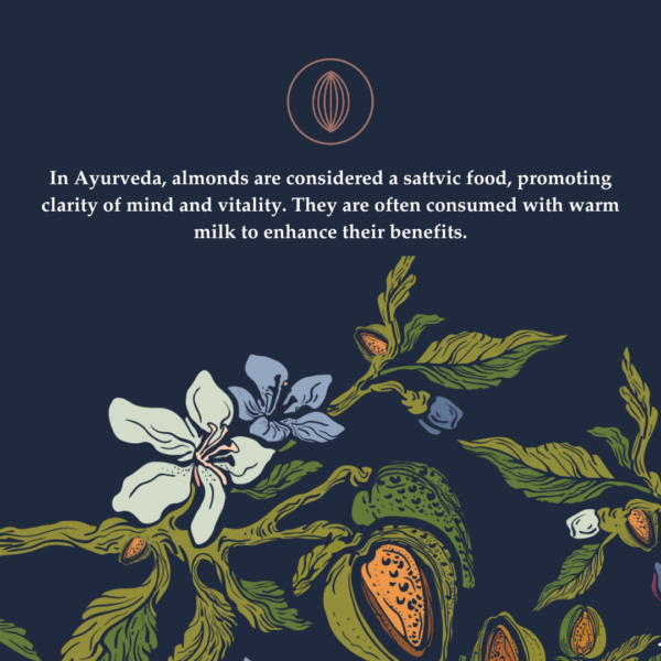 Sumewam Almonds – The Crunch of Pure Goodness - Image 8